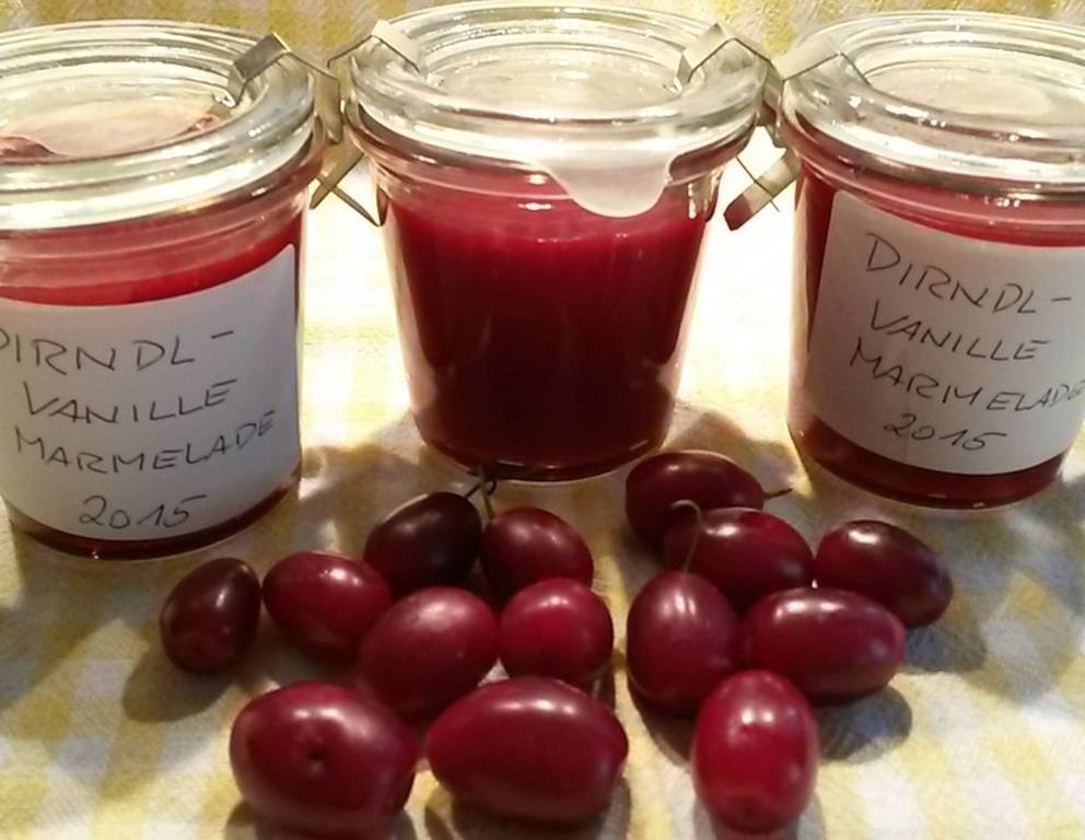 Dirndlmarmelade mit Vanille Dirndlmarmelade mit Vanille
