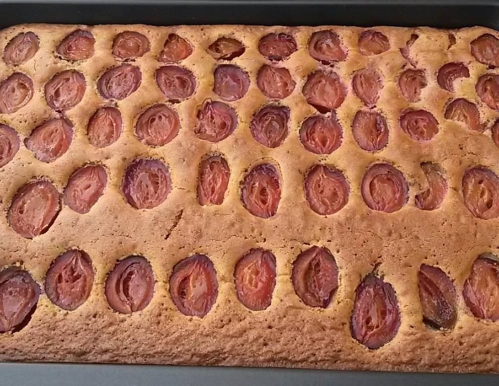 Zwetschkenkuchen mit Schokolade Zwetschkenkuchen mit Schokolade