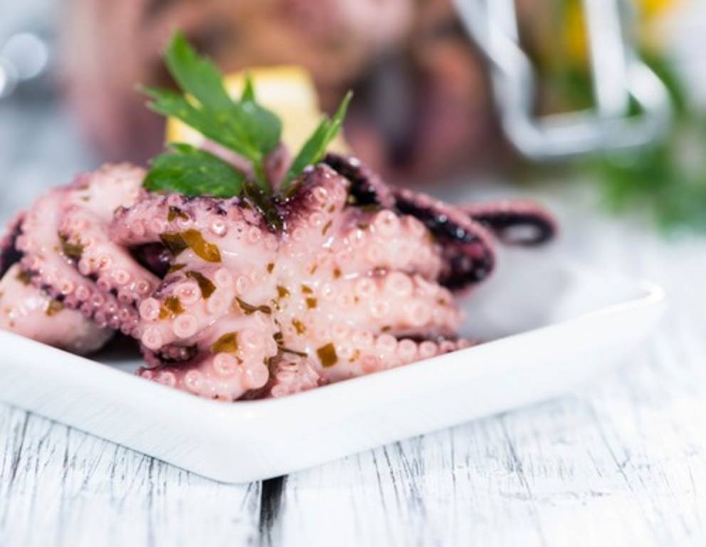 Die besten Tintenfisch Rezepte Die besten Tintenfisch Rezepte