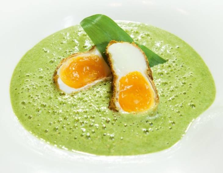 Kräuterschaumsuppe mit knusprigem Kürbiskern-Ei Kräuterschaumsuppe mit knusprigem Kürbiskern-Ei