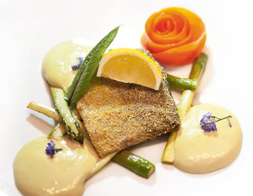 Forelle mit Kürbiskernöl-Espuma Rezept