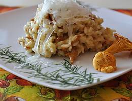 Stürmisches Eierschwammerlrisotto Stürmisches Eierschwammerlrisotto