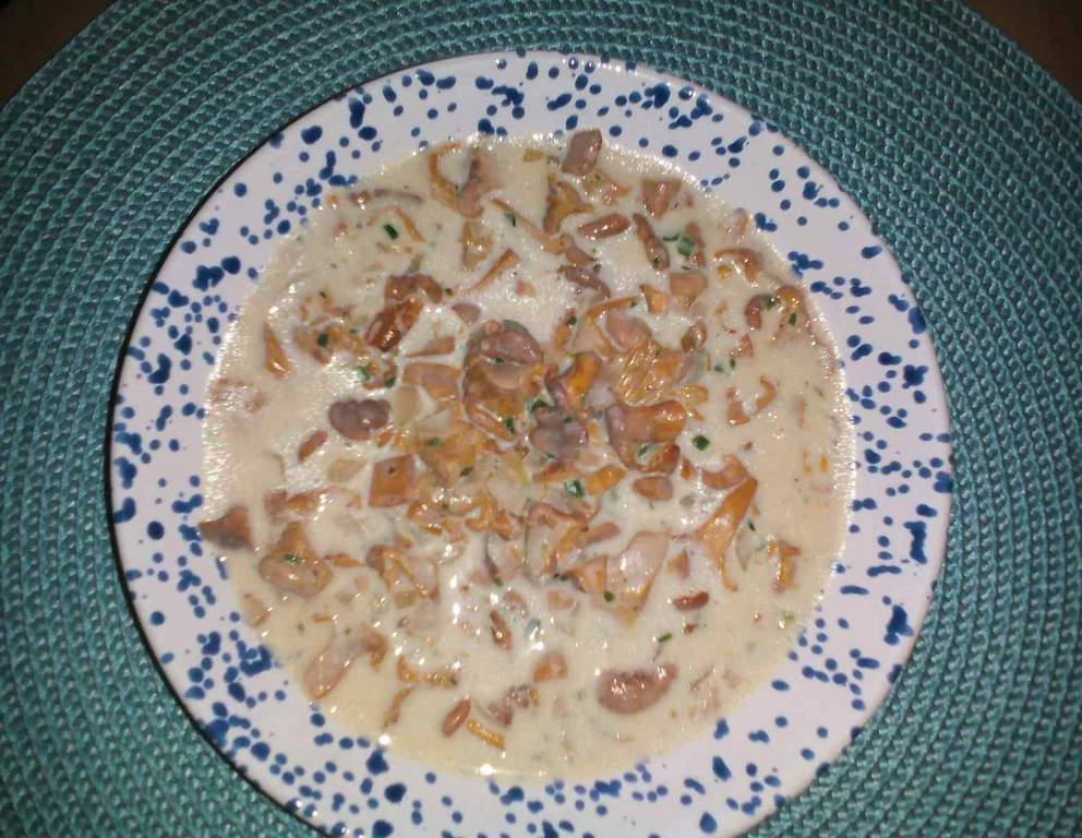 Schwammerlragout Schwammerlragout