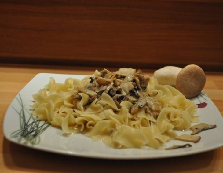 Pasta mit Kräuterseitlingragout Pasta mit Kräuterseitlingragout