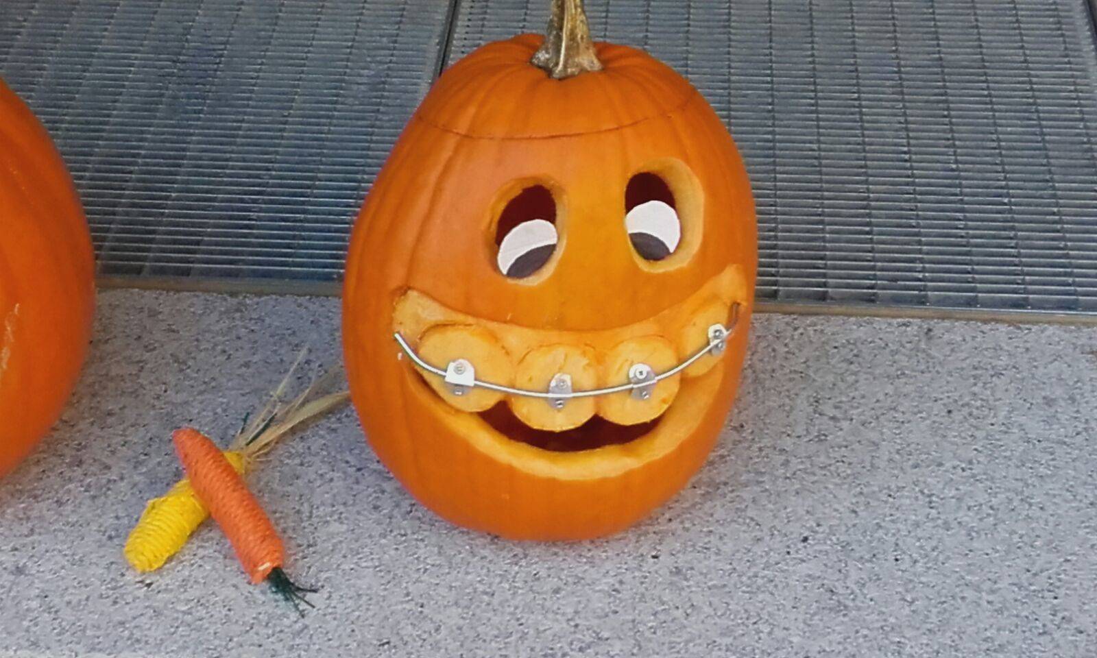 Gewinnerbild! Herzlichen Glückwunsch!