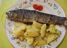 Forelle "Müllerin Art" mit Petersilkartoffeln Forelle "Müllerin Art" mit Petersilkartoffeln