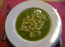 Zucchini-Ingwersuppe mit Croûtons Zucchini-Ingwersuppe mit Croûtons