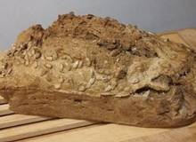 Vollkorn-Buchweizenbrot Vollkorn-Buchweizenbrot