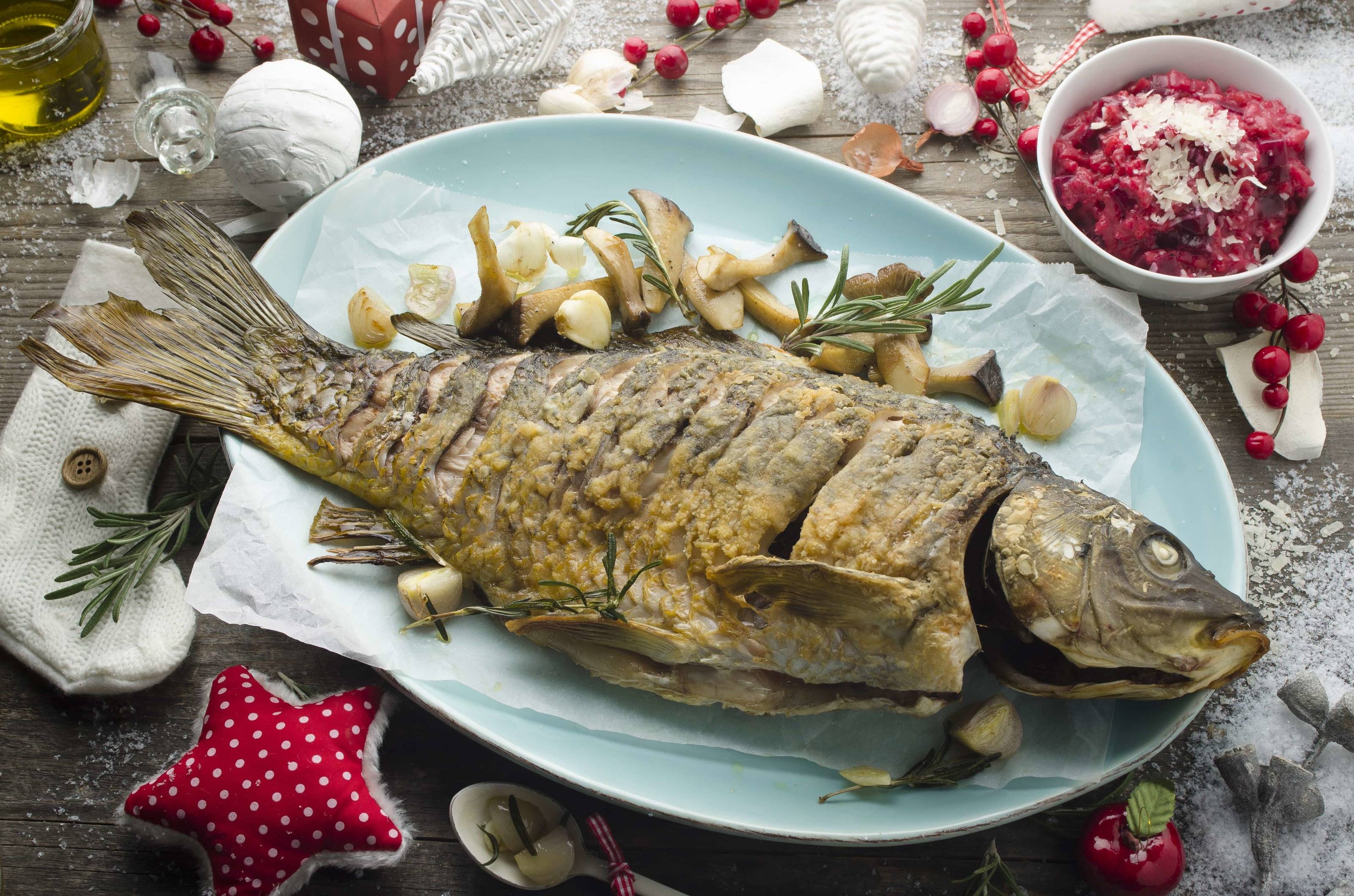 Weihnachtskarpfen mit Kräuterseitlingen und Rote Rüben-Risotto