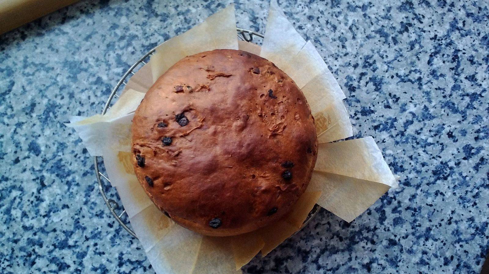 Panettone