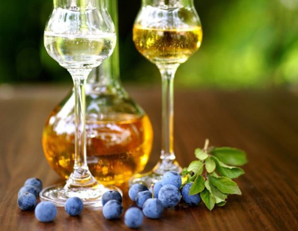 Sloe Gin, der neuentdeckte Klassiker Sloe Gin, der neuentdeckte Klassiker