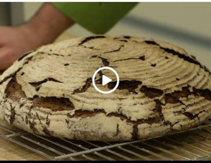 Video - Krustenbrot