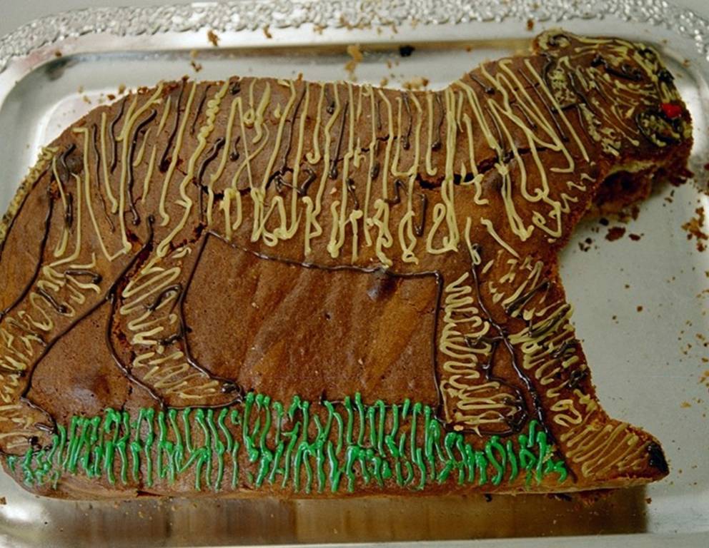 Tier-Kuchen Tier-Kuchen