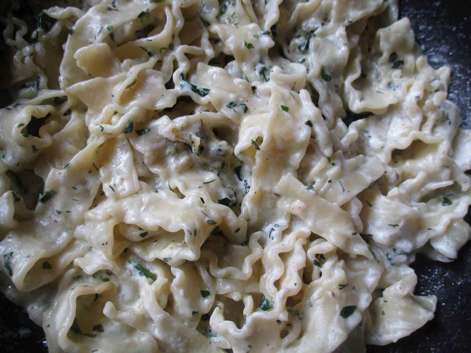 Reginette Napoletane in Käse-Kräuter-Sauce