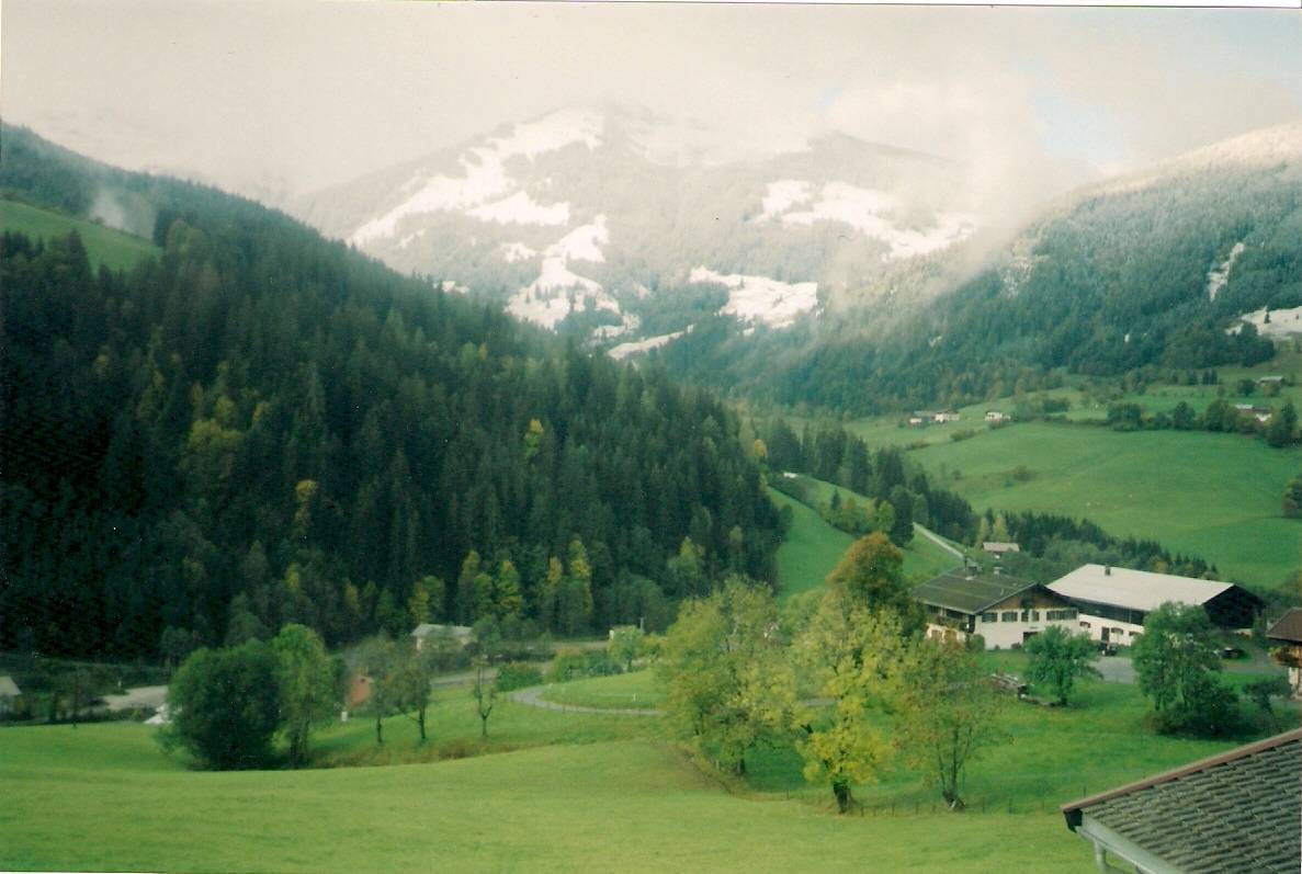 Meine Lieblingsrezepte