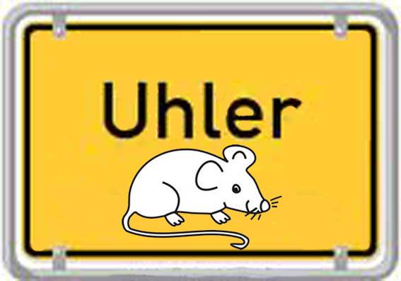 uhler-maus