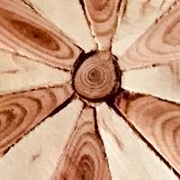 NewAmsterdamer NewAmsterdamer