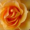 gerda0104 gerda0104